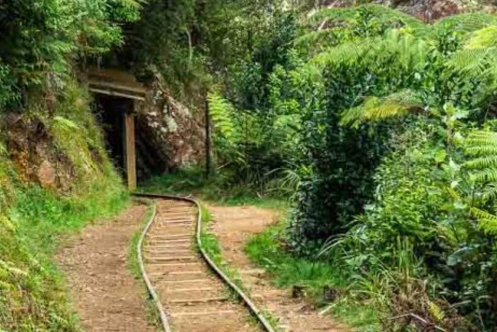 Crown Ridge Miners Cottage Karangahake 외부 사진