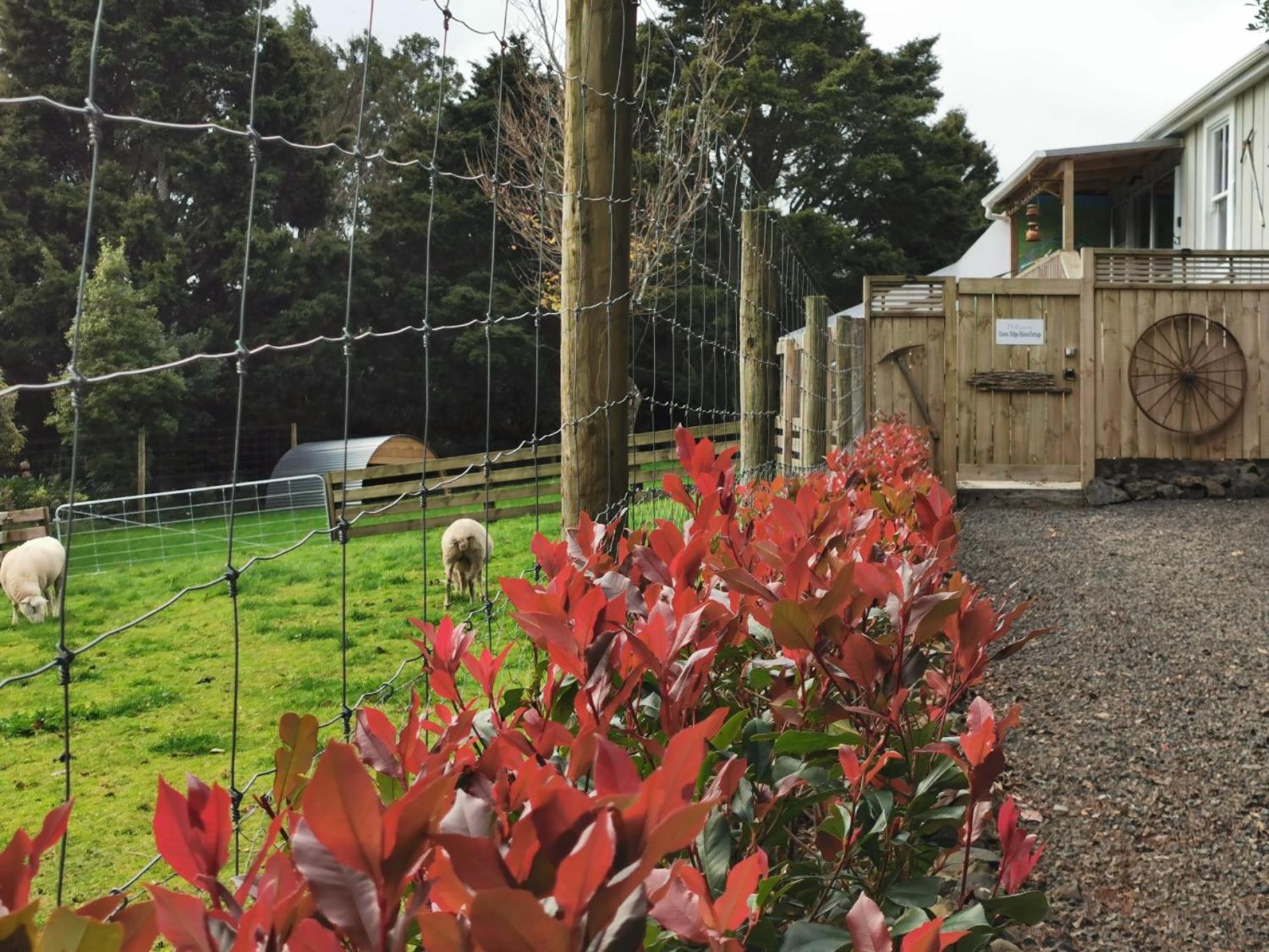 Crown Ridge Miners Cottage Karangahake 외부 사진